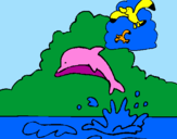 Desenho Golfinho e gaviota pintado por kelcia