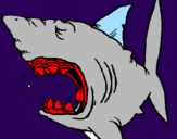 Desenho Tubarão pintado por danilo