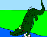 Desenho Crocodilo a entrar na água pintado por ian