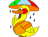 Desenho Pato sob a chuva pintado por joão pedro da silva ramos