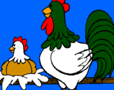 Desenho Galo e galinha pintado por Starsky 