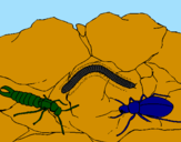 Desenho Vários insectos pintado por Gabriel