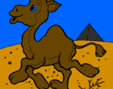 Desenho Camelo pintado por pablo 