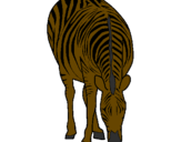 Desenho Zebra pintado por flavia 1