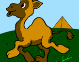 Desenho Camelo pintado por maria fernanda 