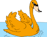 Desenho Cisne na água pintado por jana