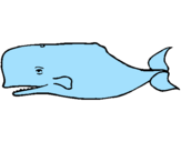 Desenho Baleia azul pintado por JOAO PEDRO
