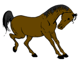 Desenho Cavalo a dançar pintado por Lalapou