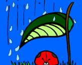 Desenho Joaninha protegida da chuva pintado por linoKaa