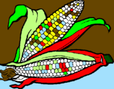 Desenho Espiga de milho  pintado por pâmella  