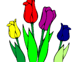 Desenho Tulipa pintado por cravo