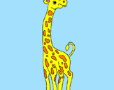 Desenho Girafa pintado por chc
