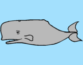 Desenho Baleia azul pintado por maria fer
