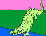Desenho Crocodilo a entrar na água pintado por maxi