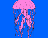 Desenho Medusa pintado por Bruno