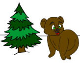 Desenho Urso e abeto pintado por yan
