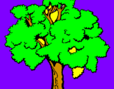 Desenho Árvore pintado por rebeca