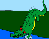 Desenho Crocodilo a entrar na água pintado por maria fer