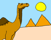 Desenho Camelo pintado por Gaby