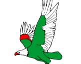 Desenho Águia a voar pintado por aguia