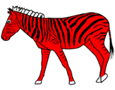 Desenho Zebra pintado por yi