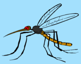 Desenho Mosquito pintado por NADIM45