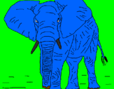 Desenho Elefante pintado por deivide