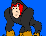 Desenho Gorila pintado por sergio