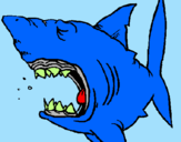 Desenho Tubarão pintado por daniel rito