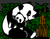 Desenho Mamã panda pintado por tigre