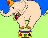 Desenho Elefante em cima de uma bola pintado por marcia