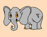 Desenho Elefante pequeno pintado por Leonor