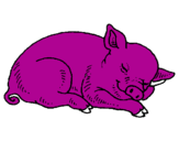 Desenho Porco a dormir pintado por bruninhu 3 anos