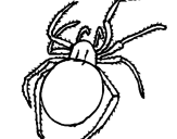 Desenho Aranha venenosa pintado por kjuytrtr
