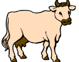 Desenho Vaca pintado por Marcia