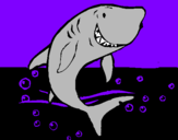 Desenho Tubarão pintado por diogo