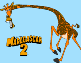 Desenho Madagascar 2 Melman 2 pintado por sarah
