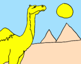 Desenho Camelo pintado por davi