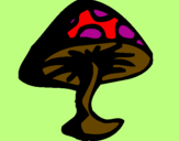 Desenho cogumelo venenoso pintado por NICOLLI
