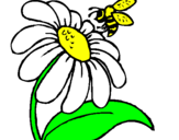 Desenho Margarida com abelha pintado por Brenda