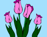 Desenho Tulipa pintado por juliana