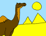 Desenho Camelo pintado por -Patrícia-