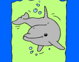 Desenho Golfinho pintado por catarina