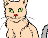 Desenho Gato pintado por gato
