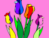 Desenho Tulipa pintado por  Pedro