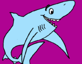 Desenho Tiburão alegre pintado por **gabrielle**linda**