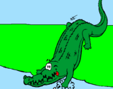 Desenho Crocodilo a entrar na água pintado por maria fer
