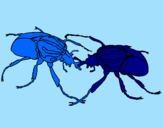 Desenho Escaravelhos pintado por Starsky 