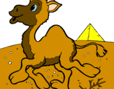 Desenho Camelo pintado por guilherme a. l. nery