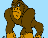 Desenho Gorila pintado por gui